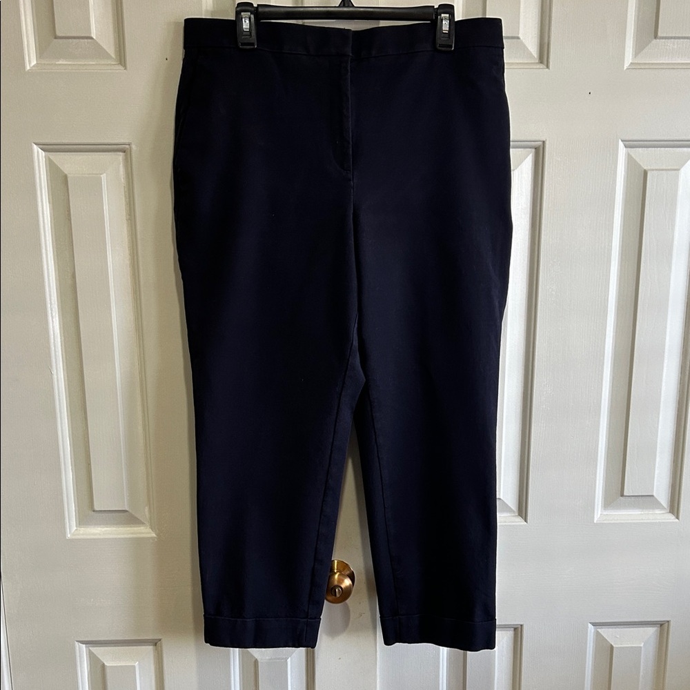 Ann Taylor Curvy Fit Cropped Navy Pants